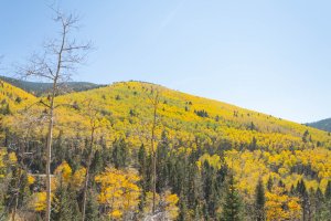20201020FallColors2020183.jpg